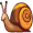 snail5