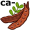ca-rob5