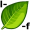 l-ea-f5