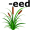 r-eed5