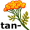 tan-sy5
