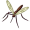 gnat5