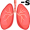 lung-s5
