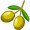 olive5