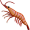 krill5