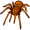tarantula5