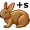 hare+s5