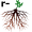 r-oot5