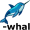 nar-whal5