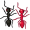 ants5