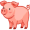 pig5