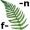 f-er-n5