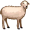 ewe5