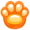 paw5