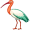 ibis5
