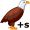 eaglet+s5
