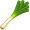 leek5