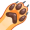 paw5