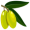 olive5