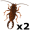 earwigs5