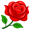 rose5