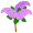 lilacs5