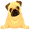 pug5