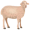ewe5
