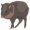peccaries5