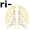 ri-bs5