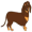 dachshund5