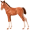 foal5