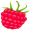 raspberry5