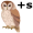 owl5