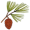 ponderosa5