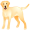dog5