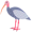 ibis5