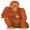 ape5