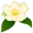 jasmine5