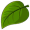 leaf5