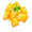 ravioli5
