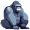 gorilla5