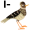 l-ark5