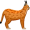 lynx5