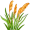 reed5