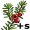 yew+s5