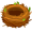 nest5