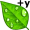 dew+y5