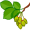 elm5