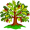 oak5